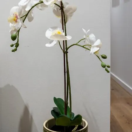 Apartman T2 Casa Da Alegria *