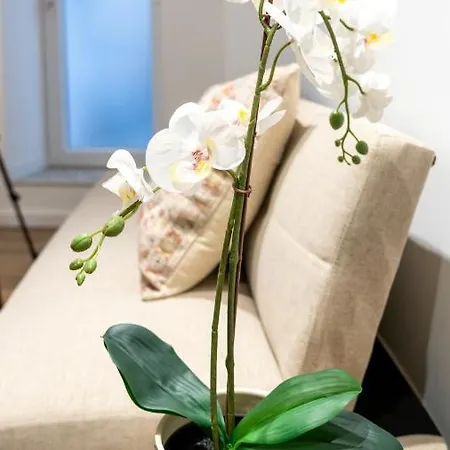 T2 Casa Da Alegria Apartmán